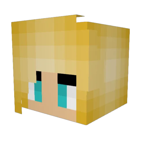 madhatpoet Minecraft avatar head, 3D render