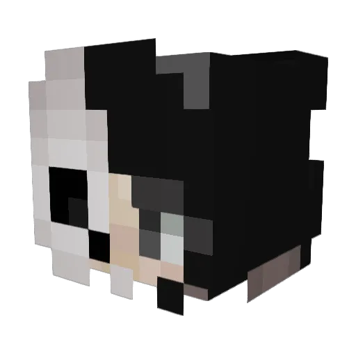 madi13101 Minecraft avatar head, 3D render