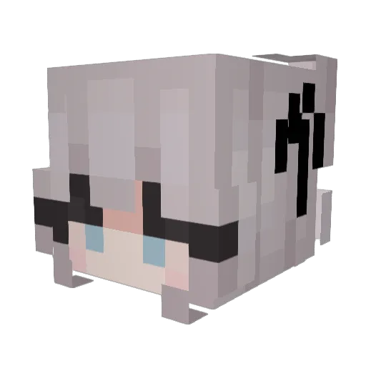 madidigi Minecraft avatar head, 3D render