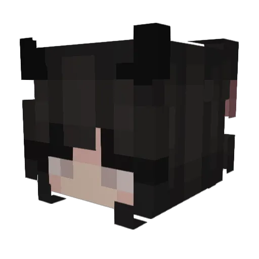 madii2widit Minecraft avatar head, 3D render