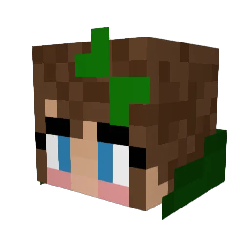 madijuana Minecraft avatar head, 3D render