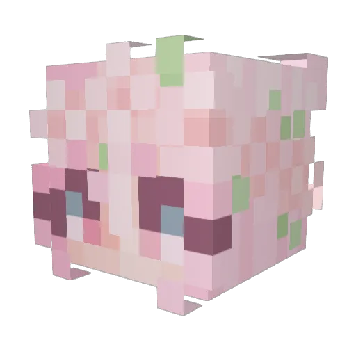 madisynmorris Minecraft avatar head, 3D render