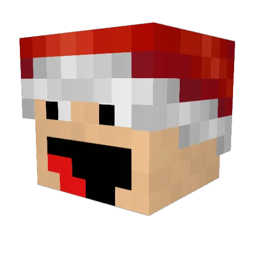 madmax150899 Minecraft avatar head, 3D render