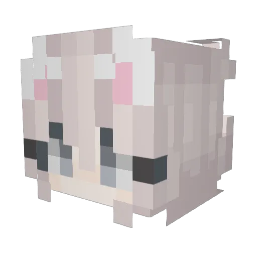 madness81 Minecraft avatar head, 3D render