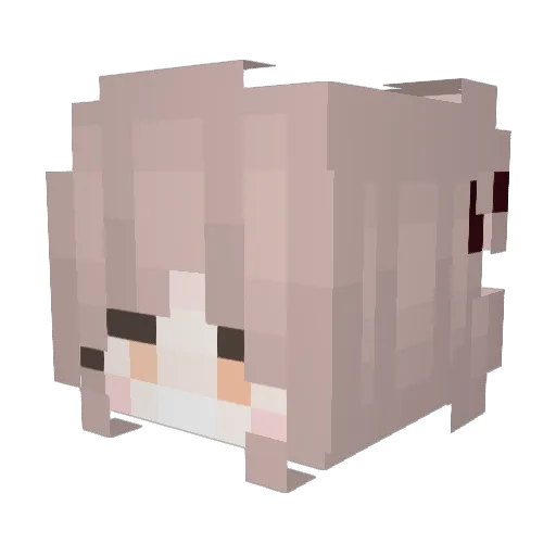 madness_lucas Minecraft avatar head, 3D render