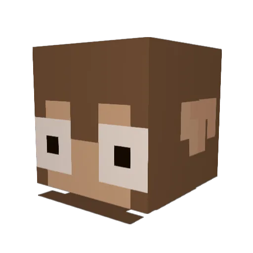 madsdookie Minecraft avatar head, 3D render