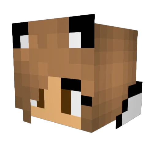 madsmik12345 Minecraft avatar head, 3D render