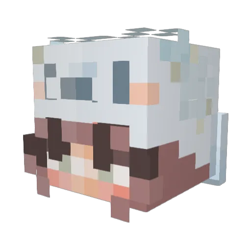 mae2100 Minecraft avatar head, 3D render