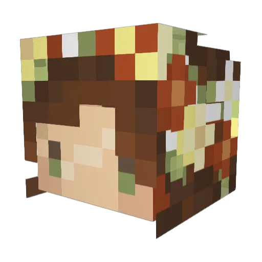 maeribee Minecraft avatar head, 3D render