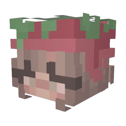 maesee Minecraft avatar head, 3D render