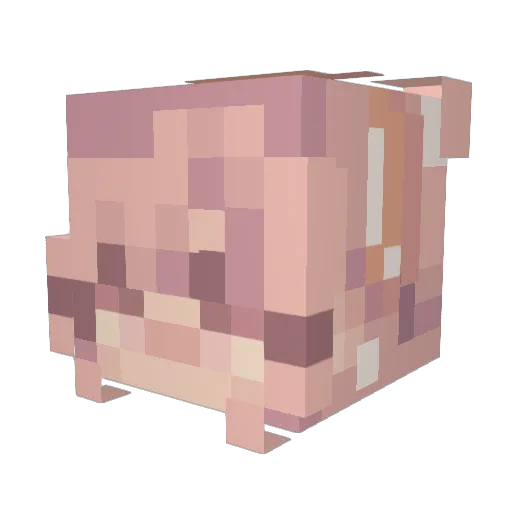maesey Minecraft avatar head, 3D render