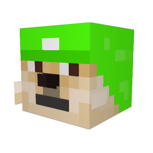 maeve_astorga Minecraft avatar head, 3D render