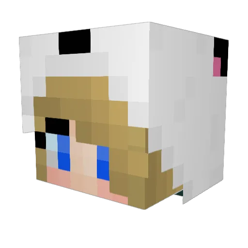 maffin151 Minecraft avatar head, 3D render
