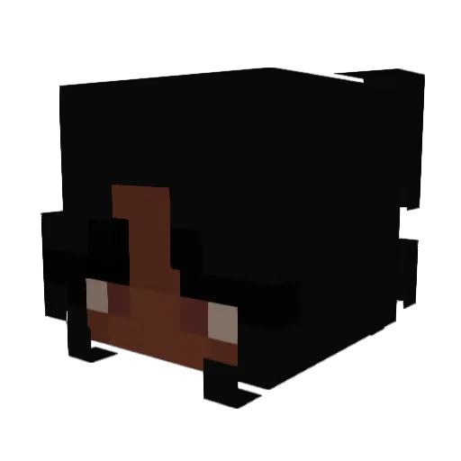 mafia_princess Minecraft avatar head, 3D render