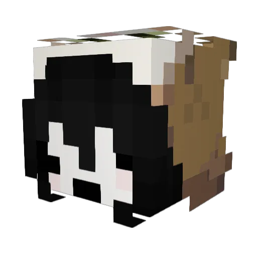 mafitend Minecraft avatar head, 3D render
