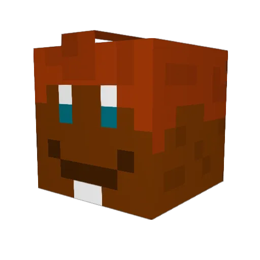 mag11nus Minecraft avatar head, 3D render