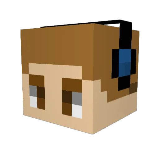 maga_mudkip Minecraft avatar head, 3D render