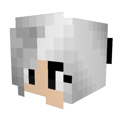maggiemooster Minecraft avatar head, 3D render