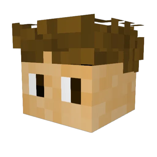 magicTom12 Minecraft avatar head, 3D render
