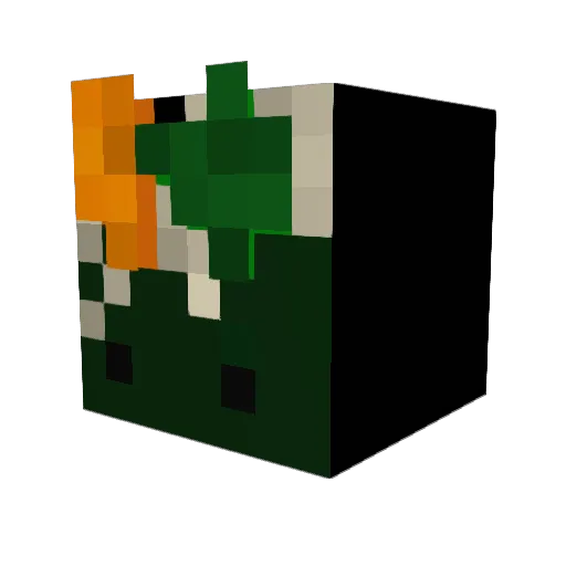 magicalOkoala Minecraft avatar head, 3D render