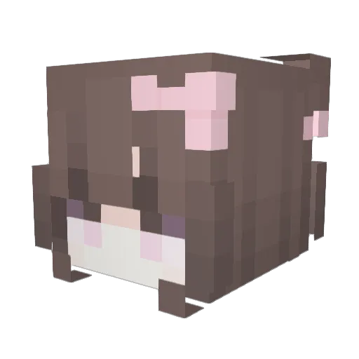 magical_noodles Minecraft avatar head, 3D render