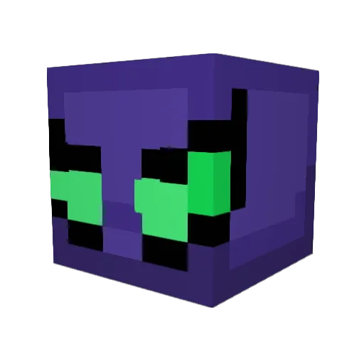 magicalfetus1 Minecraft avatar head, 3D render