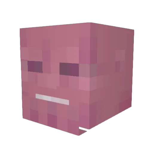 magicboy69 Minecraft avatar head, 3D render
