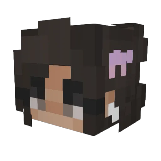 magicbyrdman Minecraft avatar head, 3D render