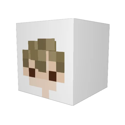 magictimmi Minecraft avatar head, 3D render