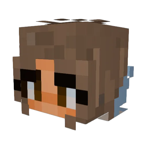 magicznyhenryk Minecraft avatar head, 3D render