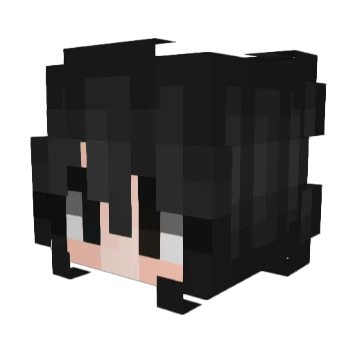 magikarpinha Minecraft avatar head, 3D render