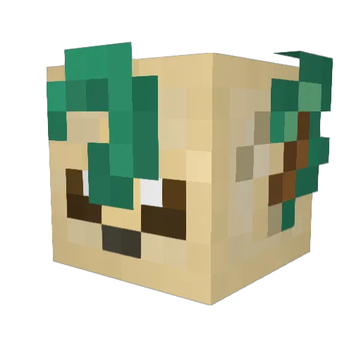 maglor2010 Minecraft avatar head, 3D render