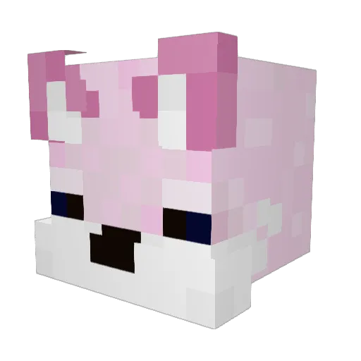 magmangle Minecraft avatar head, 3D render