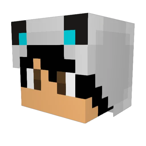 magneticmushroom Minecraft avatar head, 3D render