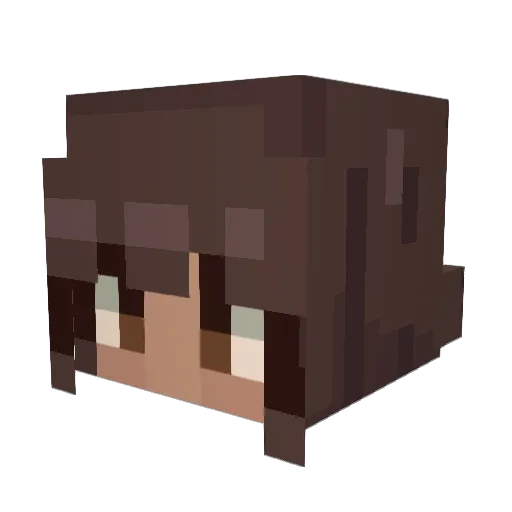 magni811 Minecraft avatar head, 3D render