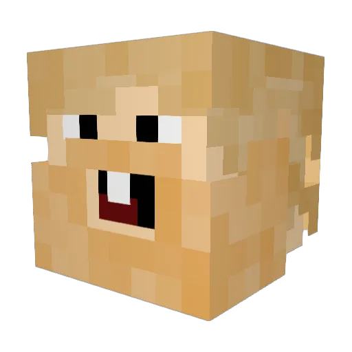 magno2000 Minecraft avatar head, 3D render