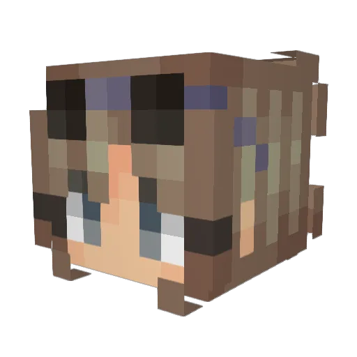magpiewazup Minecraft avatar head, 3D render