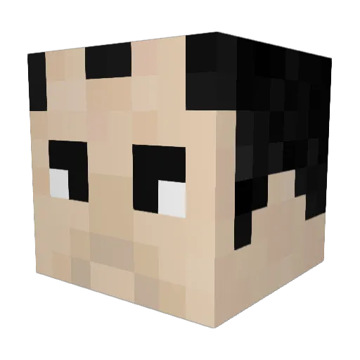 maguslash Minecraft avatar head, 3D render