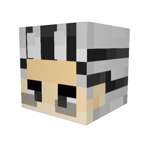 mahirukoze Minecraft avatar head, 3D render