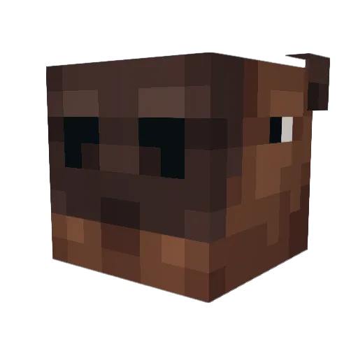 mahue30 Minecraft avatar head, 3D render