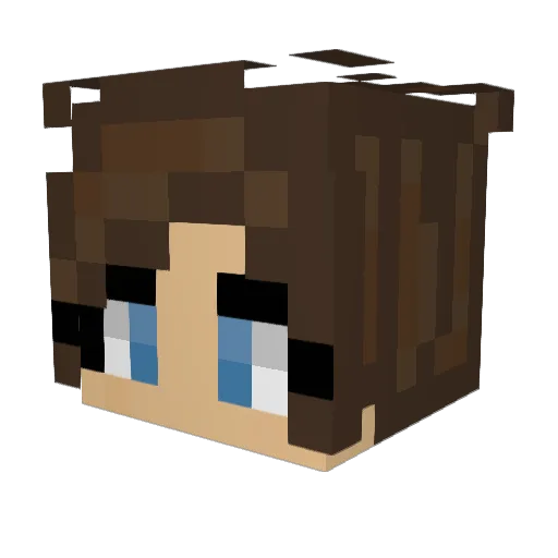 maikidaiki04 Minecraft avatar head, 3D render