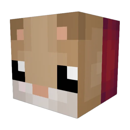 maikiwi Minecraft avatar head, 3D render