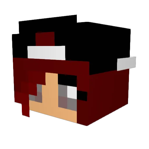 maikku111 Minecraft avatar head, 3D render