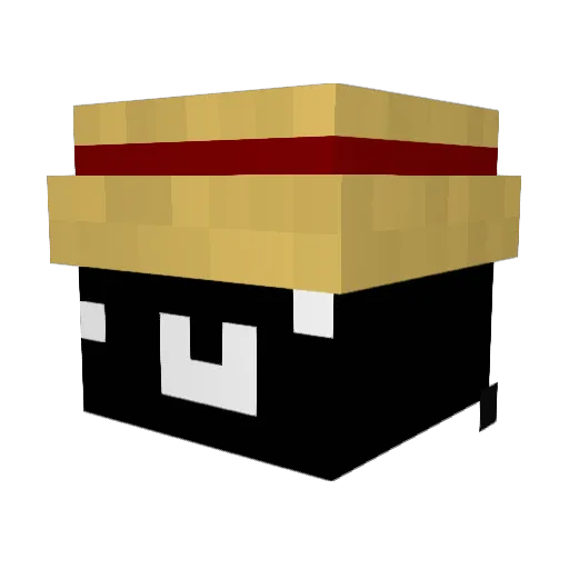 mailliw516 Minecraft avatar head, 3D render