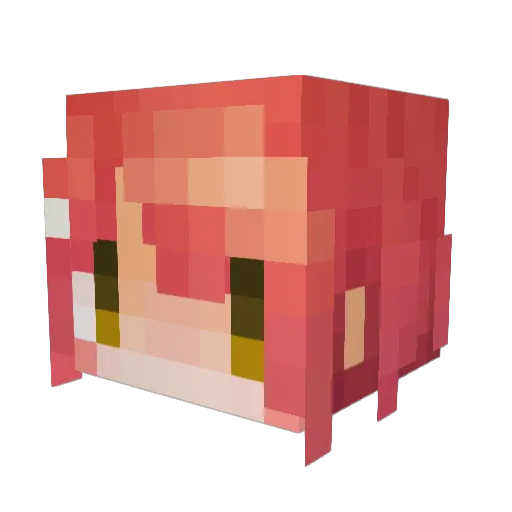 maimai885 Minecraft avatar head, 3D render