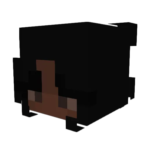maimairawr Minecraft avatar head, 3D render