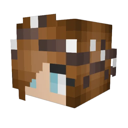 maja606 Minecraft avatar head, 3D render