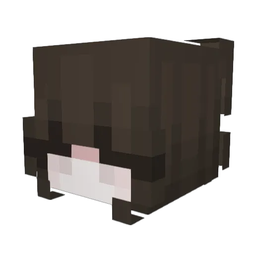 majarawrxd Minecraft avatar head, 3D render