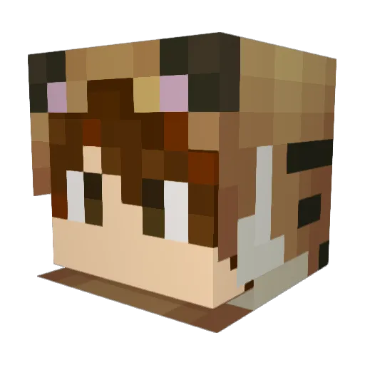 majorjimbo Minecraft avatar head, 3D render