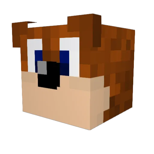majorsasquatch Minecraft avatar head, 3D render